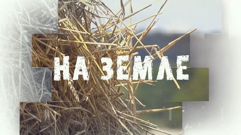 На земле